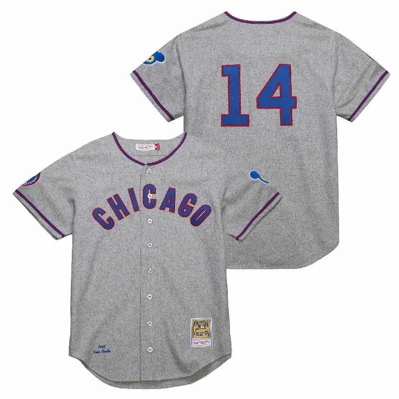 Men's Cycling Jerseys with Reflective Stripes for Safe and Stylish Rides at NightChicago Cubs Ernie Banks 1968 Mitchell & Ness Authentic Road Jersey