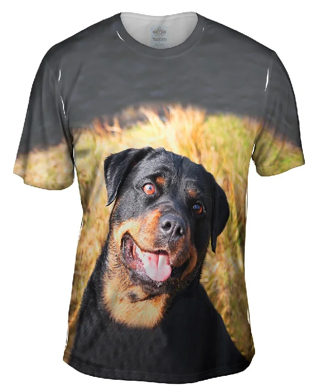 Men's polo t - shirts with a contrast collar for a preppy lookBashful Rottweiler
