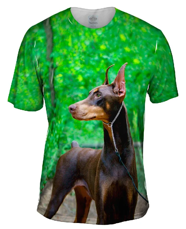 Men's antimicrobial t - shirts for odor - free freshness during travelDoberman Pinscher Perfection