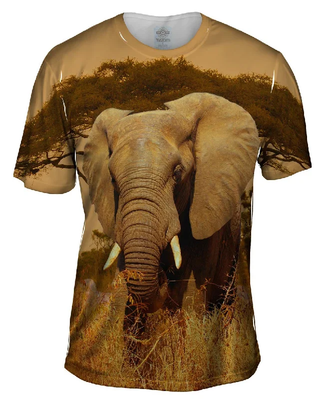 Men's polo t - shirts with a contrast collar for a preppy lookElephant Savannah