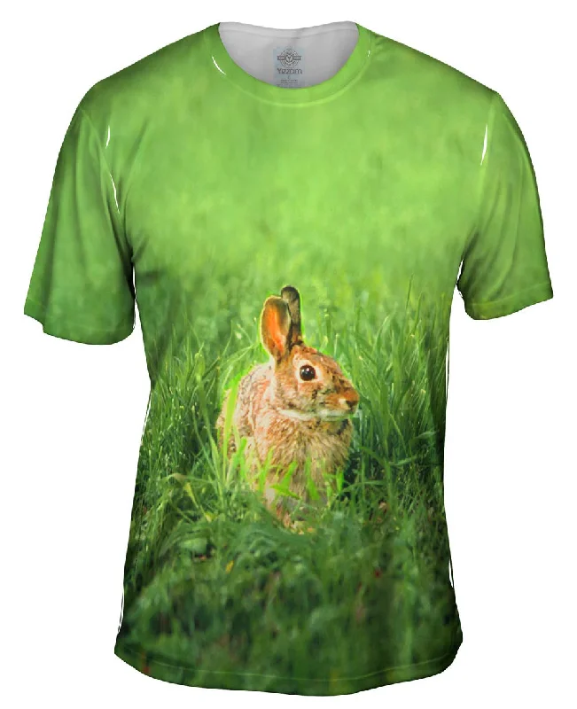 Men's button - front t - shirts with a unique artistic printPeter Rabbit