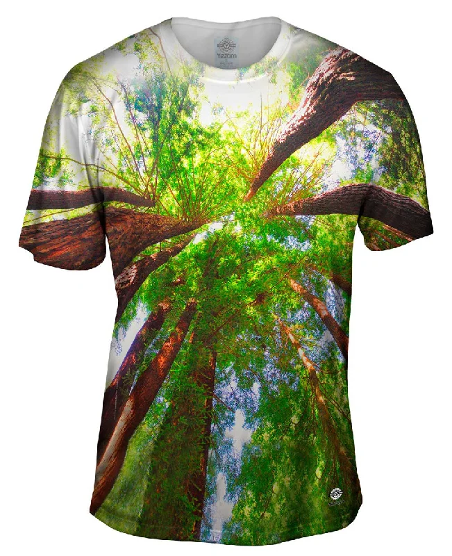 Men's plus - size pocket t - shirts with a classic lookRedwoods Sunlight Coming From Above
